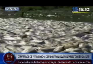 Campesinos de Yarinacocha denunciaron envenenamiento de sus aguas