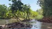 Cañete: Más de 100 hectáreas afectadas tras desborde del río - Noticias de jose-balcazar