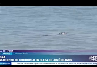 Capturaron a cocodrilo de Tumbes en la playa de Los Órganos