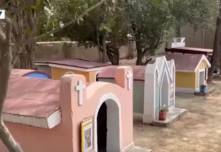 Chiclayo: Cementerio para perros peruanos sin pelo es parte de ruta turística en museo de Túcume