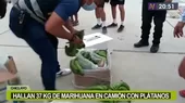 Chiclayo: Policía halló 37 kilos de marihuana dentro de un camión con plátanos - Noticias de chiclayo