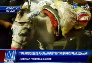 Chiclayo: trabajadores de Pucalá pintaron a burro para protestar