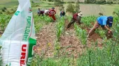 Compra de urea: empresa paraguaya acusa a AgroRural de no responder para devolver el dinero - Noticias de empresa