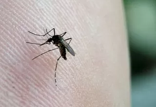 Confirman el primer caso positivo de dengue en la ciudad de Chimbote