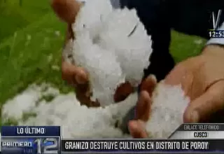 Cusco: caída de granizo y lluvia destruyeron cultivos en el distrito de Poroy