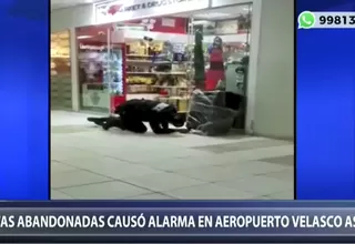 Cusco: maletas abandonadas causaron alarma en el aeropuerto