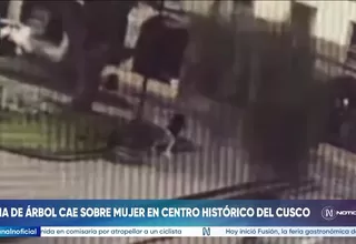 Cusco: rama de árbol cayó sobre una mujer que descansaba en la plaza Regocijo
