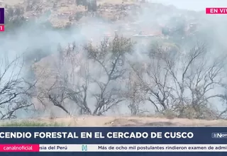 Cusco: Se produjo un incendio forestal este domingo