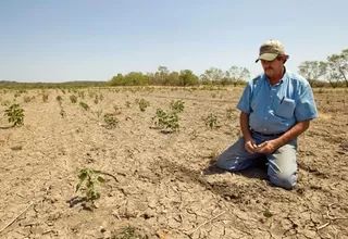 Declararán Piura en emergencia hídrica por falta de lluvias