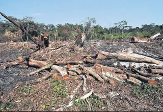 Defensoría del Pueblo lamentó muerte de ashaninkas y exigió intervención del Estado