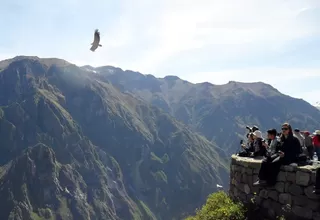 Arequipeños podrán ingresar gratis al Valle del Colca por feriado largo