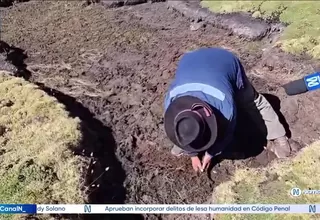 Déficit hídrico en Huancavelica provoca sequía de fuentes de agua en zonas altoandinas