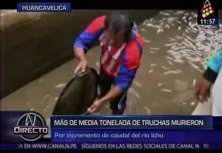 Huancavelica: toneladas de truchas murieron en piscigranjas