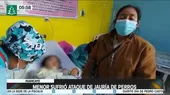 Huancayo: Menor sufrió ataque de jauría de perros - Noticias de perros