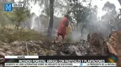 Huanta: Incendio forestal arrasa con pastizales y plantaciones - Noticias de incendios-forestales