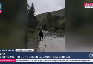 Huánuco: Caída de rocas en Carretera Central restringe tránsito