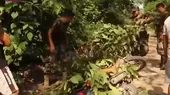 Huánuco: De tres balazos asesinan a agricultor  - Noticias de asesinado