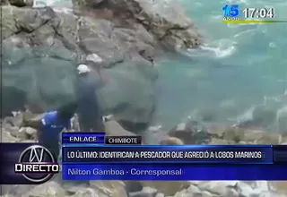 Identificaron a pescadores que atacaron a lobo marino en Chimbote