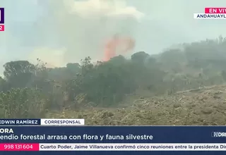 Incendio forestal en Andahuaylas arrasa con flora y fauna