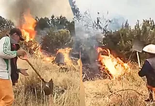 Incendio forestal en Arequipa arrasa más de 200 hectáreas