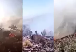 Incendio forestal arrasó 50 hectáreas de pastizales en Arequipa