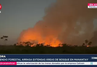 Incendio forestal de gran magnitud afecta Manantay en Ucayali