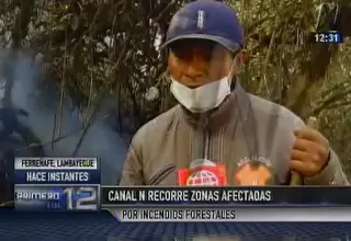 Incendios forestales: pobladores de Ferreñafe piden ayuda de autoridades