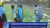 Intensas granizadas afectaron varias hectáreas de cultivos en el Cusco - Noticias de granizada