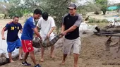 Lambayeque: cocodrilos y caimanes escaparon de zoológico durante inundaciones - Noticias de zoológico