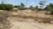 Lambayeque: Más de mil sembríos quedaron inundados por las fuertes lluvias en Pacora - Noticias de miguel-cordano