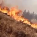 Lambayeque: Una mujer muerta tras incendio forestal