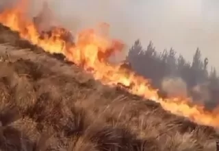 Lambayeque: Una mujer muerta tras incendio forestal