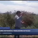 Lambayeque: realizan disparos durante diligencia de gerente de azucarera Pucalá