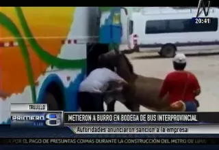 La Libertad: sujetos meten a burro en la bodega de bus interprovincial