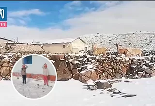 Moquegua sufre ola de frío: mueren alpacas y niños sin abrigo