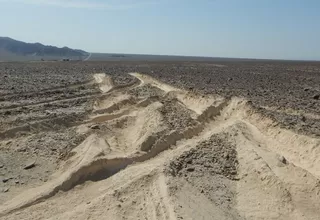 Piden 9 meses de prisión preventiva para conductor que dañó geoglifos en Nasca