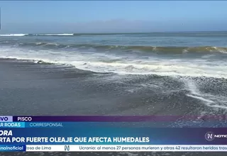 Oleaje en Pisco causa daños en antiguo muelle y afecta humedales de la zona costera
