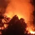 Oxapampa: Reportan incendio forestal en Chontabamba