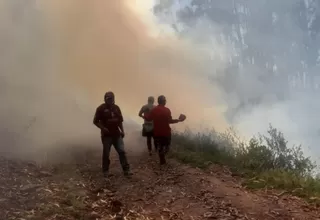 Pasco: Bomberos y población luchan contra incendio forestal en Huariaca