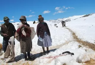 Piden que distrito de Puno se declare en emergencia por intensa nevada