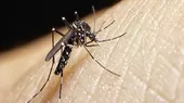 Piura: Aumentan muertes por dengue  - Noticias de barristas