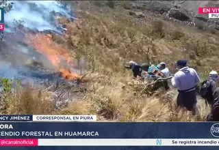 Piura: Se reportan cuatro incendios forestales