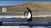 Puno: Helada congela ríos y lagunas en zonas altoandinas - Noticias de heladas