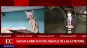 Retiran a zorrito Run Run del Parque de Las Leyendas  - Noticias de centro-especializado
