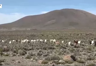 Senamhi: Temperaturas llegarían por debajo de los 4 grados en Arequipa