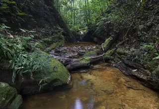 Sierra del Divisor: Humala oficializó creación del parque nacional en Ucayali 