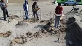 Trujillo: realizarán nueva excavación en zona donde encontraron restos de niños - Noticias de huanchaco