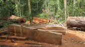 Nativos asháninkas fueron asesinados por madereros ilegales en Ucayali - Noticias de ashaninkas