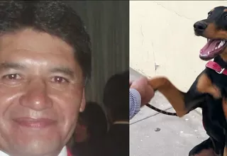 Arequipa: Vacan a alcalde Víctor Hugo Rivera por usar dinero público en su mascota