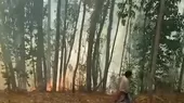 [VIDEO] Ayacucho: Cultivos son afectados por incendios forestales - Noticias de incendios-forestales